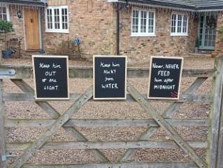 Lower Shiplake-16